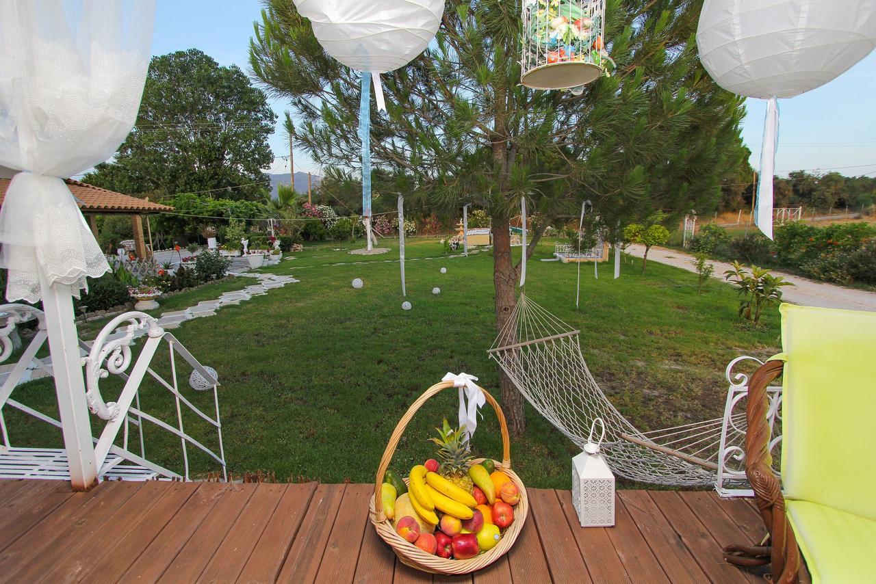 Kouros Resort Kalamákion المظهر الخارجي الصورة